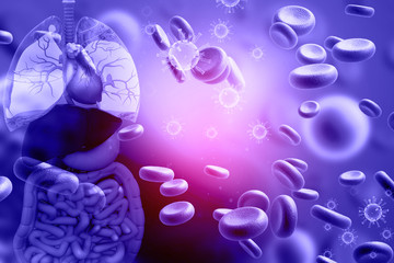 Wall Mural - Human digestive system with blood cells. 3d illustration