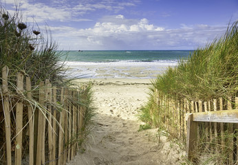  Path through the dunes to the beach at Porz Meur, Plouescat, Brittany