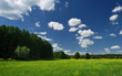 © markborbely - Forest meadow with wildflowers in the summer, Bakony, Hungary