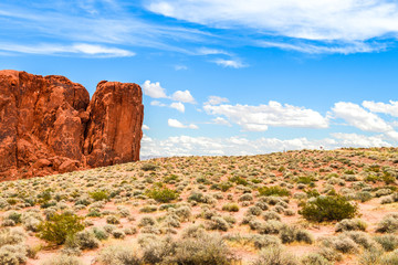 Wall Mural - amazing valley of fire desert landscape, nevada