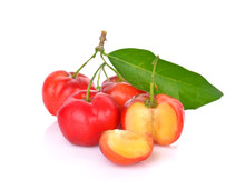 Barbados Cherry, Malpighia Emarginata, Family Malpighiaceae