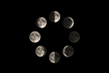 images of the moon in each major lunar phase, in a circle diagram