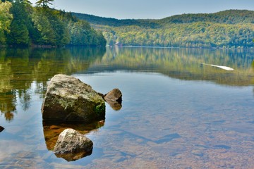 Wall Mural - Beautiful view on the river and forest