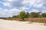 Fototapeta Morze - The African landscape. Dry river, Tanzania