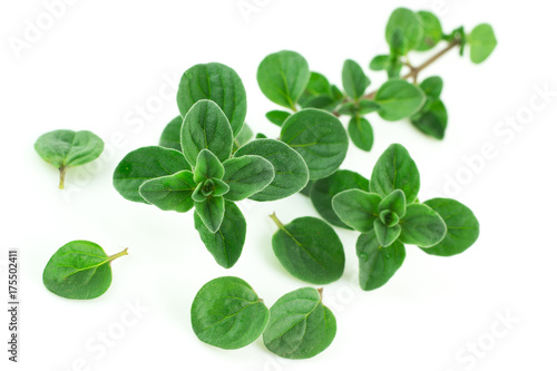 500_F_175502411_tHprG6EMANhIZieuEahXmC1CghWqojrX.jpg