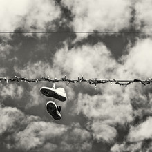 Sneakers On The Power Line, Colorless