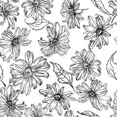 Chamomile flowers and leaves pencil drawn ornament pattern