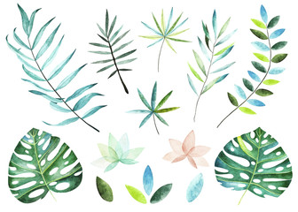 Wall Mural - Tropical plants collection. Watercolor elements. Collection included tropical leaves and branches. Perfect for you postcard design,invitations,projects,wedding card,poster.