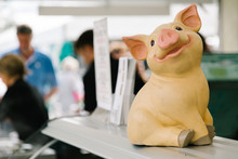 Model Of Pig On Counter Of Butchers Market Stall