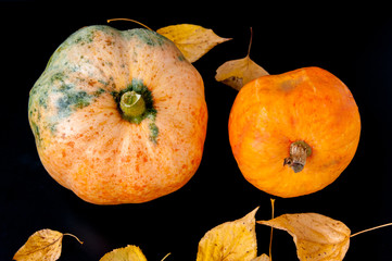 Two pumpkins and autumn leaves on a black background