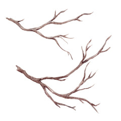 watercolor fall tree branch
