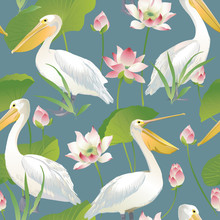 Vector Seamless Pattern Pelican And Lotus Flowers And Leaves.