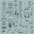 © Mary fleur - A collection of vector flourishes and calligraphic elements in vintage style