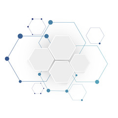 molecular connection structure