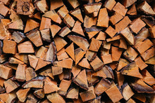 Wood Pile In Northwest Forest And Woods