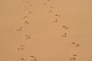 Walking side by side barefoot in the sand