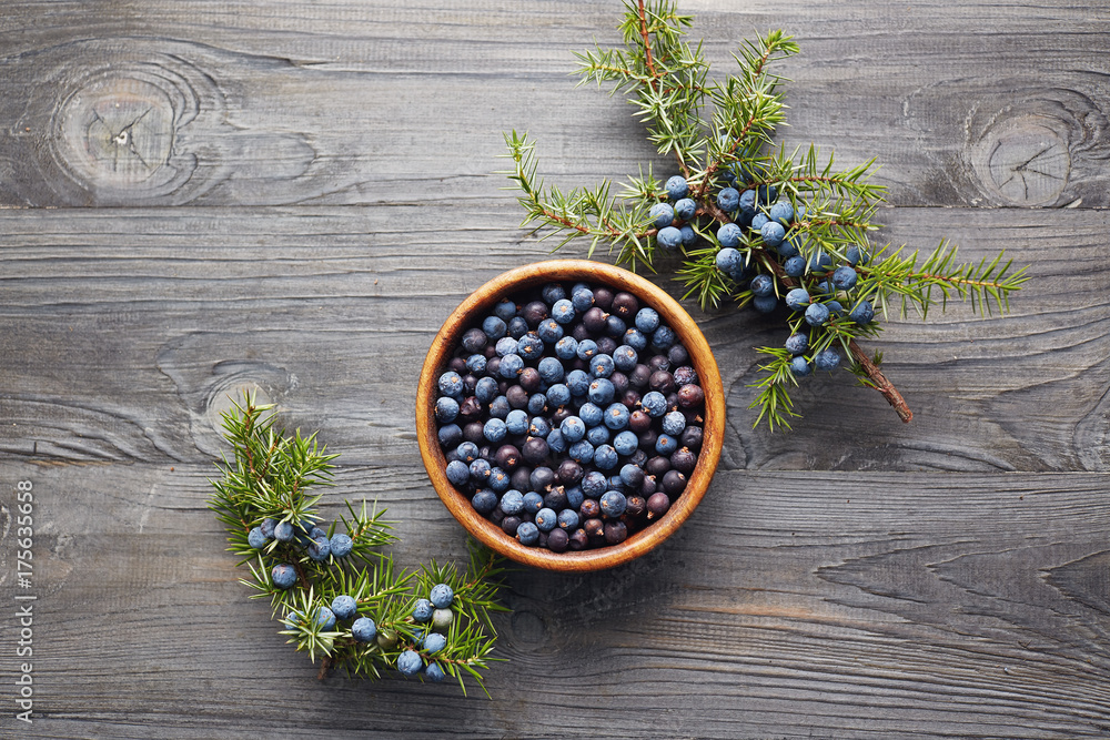 Juniper berries in a bowl with a sprig - obrazy, fototapety, plakaty 