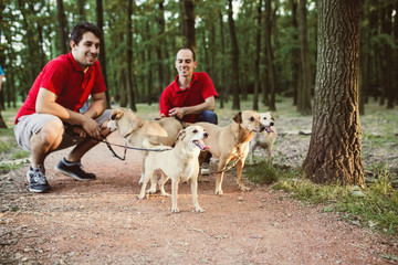 Dog walkers with dogs enjoying in park. 