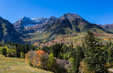 Wall Mural - Fall Colors and Mountain in Northern Utah