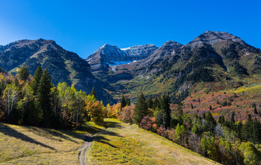 Wall Mural - Fall Trees in Northern Utah Mountains