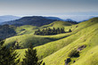 © Nathan French Photography/Stocksy - Rolling Hills in Marin