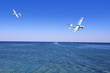 Samolot sterowany radiowo w powietrzu nad morzem Śrudziemnym.