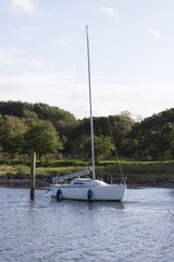 Wall Mural - Segelboot an der Ostsee