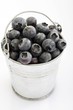 Small tin pail filled with blueberries