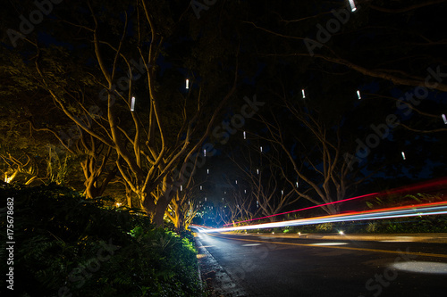 Fényképezés  Blurred headlights on a moving car