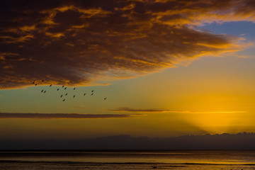 Wall Mural - Cloudscape at sunset