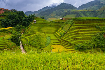 Beautiful landscape of rice terrace fields in Mu Cang Chai, Vietnam