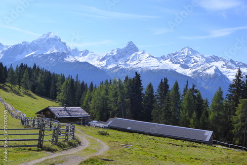 Plakat Widok z Wiesener Alp na kije Bergüner