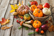Autumn still life with pumpkins, corncobs, fruits and leaves