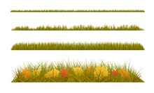 Autumn Grass With Fall Leaves On White Background. Set Of Autumn Decorations.