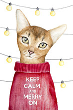 A Closeup Portrait Of A Cute Abyssinian Cat Looking At Camera, Dressed In A Warm Red Knitted Sweater. Hand Painted Watercolor Illustration Isolated On A White Background