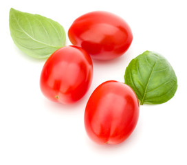 fresh plum tomato with basil leaf isolated on white background