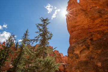 Bryce Canyon National Park America