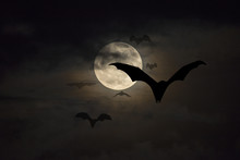 Bats Flying On The Full Moon Night.