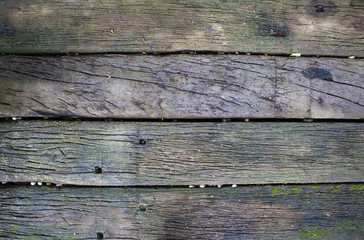 wood and old texture. Abstract background