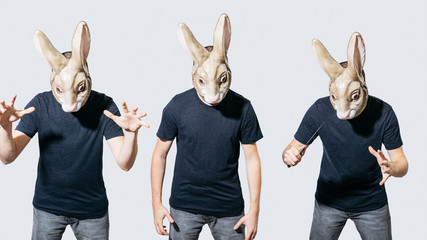 Wall Mural - Man wearing a rabbit mask in three poses