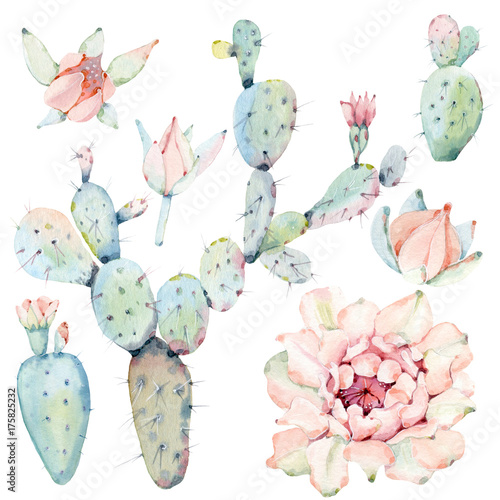 Hand drawn watercolor saguaro cactuses