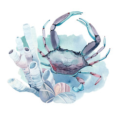 hand drawn watercolor crab.