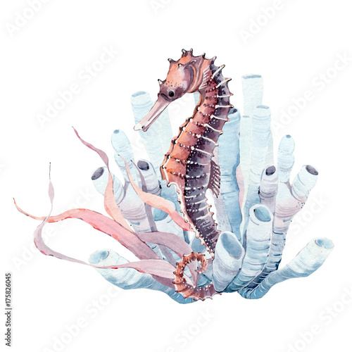 Naklejka na kafelki hand drawn watercolor seahorse.