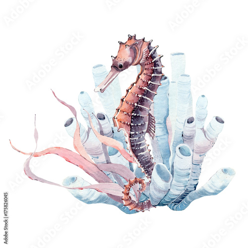 Nowoczesny obraz na płótnie hand drawn watercolor seahorse.