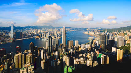 Wall Mural - Victoria peak Hong Kong