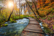 Fantastic Tourist Pathway In Colorful Autumn Forest, Plitvice Lakes, Croatia