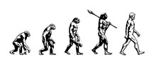 Evolution Of Man