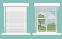 Detailed Window Set Isolated Vector Illustration. Architectural Details, Window Treatments, Interior Elements. Cartoon Curtains, Jalousie, Drapery, Blinds Collection In Flat Style. Window Icon Set