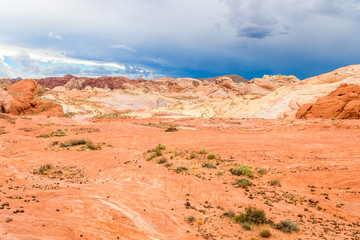 Wall Mural - amazing sandstone shapes at valley of fire national park, nevada