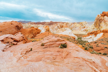 Wall Mural - amazing sandstone shapes at valley of fire national park, nevada